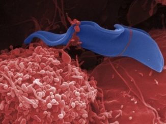 75743 katil hastalc4b1k c4b0c3a7in gelic59ftirilen tek c4b0lac3a7 yeni umut olabilir