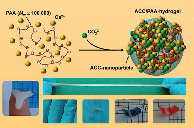 c8499 mineral hidrojel plastiklerin geri dc3b6nc3bcc59fc3bcmc3bc c4b0c3a7in yeni bir kapc4b1 ac3a7abilir