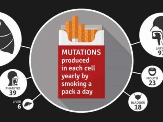 522ad sigara dna mutasyonuna neden oluyor sadece akcic49ferde 150 farklc4b1 mutasyon var