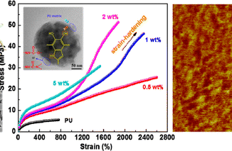ad62e cilt pigmentimiz polic3bcretan kc3b6pc3bckleri ve kumac59flarc4b1 gc3bcc3a7lendirmeye yardc4b1mcc4b1 olabilir 1