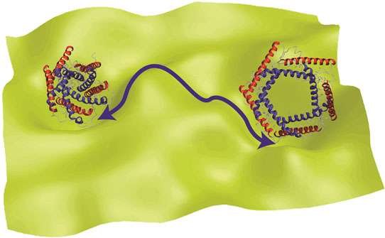 884fd kimyagerler proteinlerin fonksiyonunu ac3a7c4b1klayan yeni teori gelic59ftirdiler