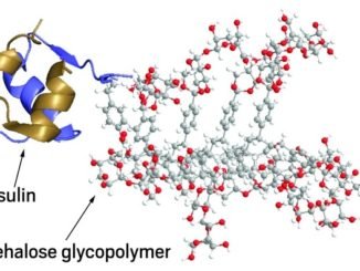853bc glikopolimerin protein c4b0lacc4b1nc4b1n stabilitesini gelic59ftirdic49fi belirlendi
