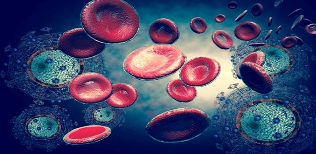 dc4f6 yeni aids ac59fc4b1sc4b1 gelic59ftirmek c4b0c3a7in uluslararasc4b1 ortaklc4b1k bac59flatc4b1ldc4b1 dc4f6 yeni aids ac59fc4b1sc4b1 gelic59ftirmek c4b0c3a7in uluslararasc4b1 ortaklc4b1k bac59flatc4b1ldc4b1