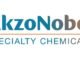 894f8 akzonobel specialty chemicals hindistandaki organik peroksit kapasitesini artc4b1rc4b1yor