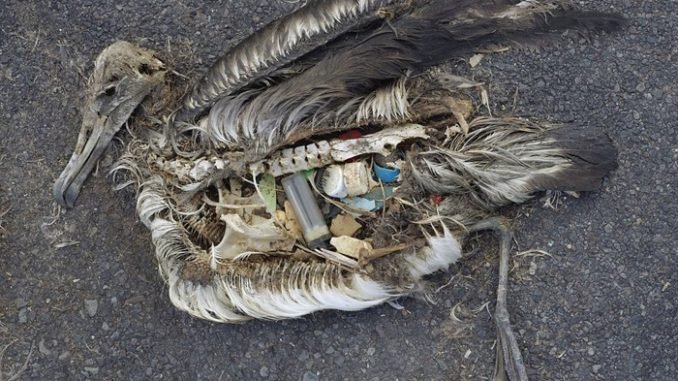 b5428 avrupa tek kullanc4b1mlc4b1k plastiklere savac59f ac3a7tc4b1 b5428 avrupa tek kullanc4b1mlc4b1k plastiklere savac59f ac3a7tc4b1