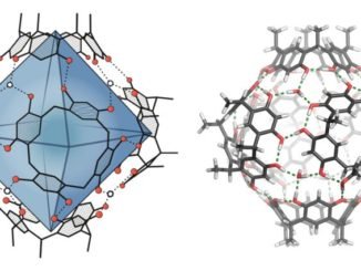Kimyagerler, Terpenleri Sentezlemek İçin Yeni Bir Yöntem Geliştirdiler - KimyaHaberleri