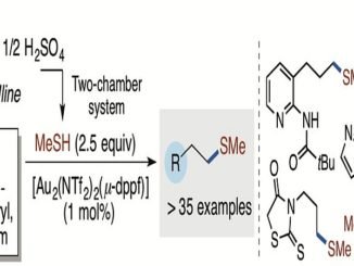 748d4 kc3bckc3bcrt c4b0c3a7eren yapc4b1lar elde etmek c4b0c3a7in daha basit ve gc3bcvenli bir yc3b6ntem