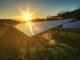 9806a bacteria transform light into energy