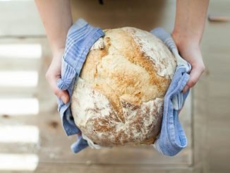 vucut bagisikligina anadolu topraklarindan destek