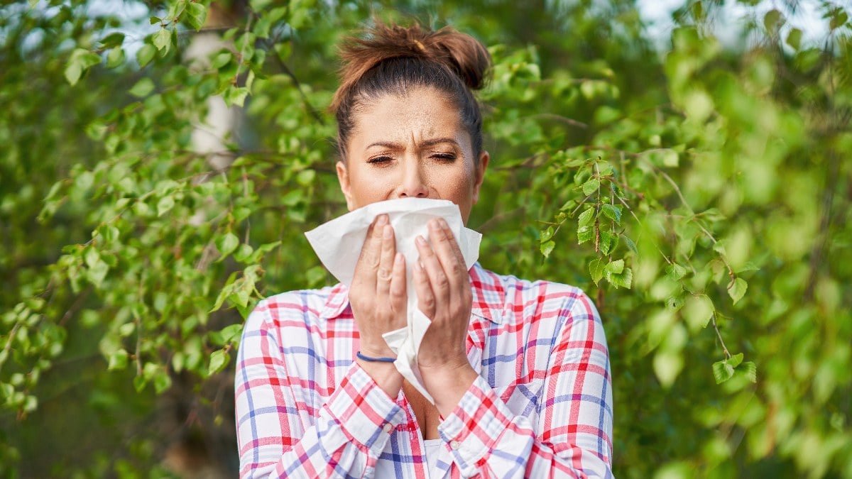 col-tozu-uyarisi-korunma-onerileri-ve-etkileri-CP6WDeRX.jpg col-tozu-uyarisi-korunma-onerileri-ve-etkileri-CP6WDeRX.jpg