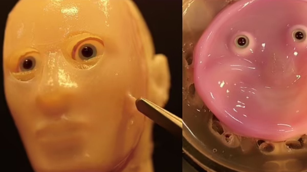 japonlar-canli-deriye-sahip-insansi-robot-gelistirdi-RYgt3mId.jpg