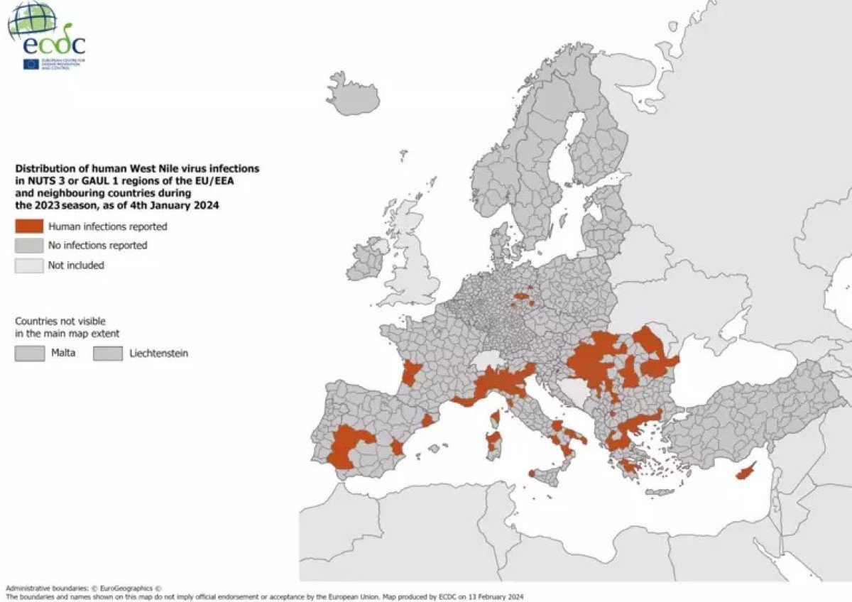 turkiyede-olumcul-virus-uyarisi-acil-tedbirler-alinmali-1-cWA4sQRp.jpg
