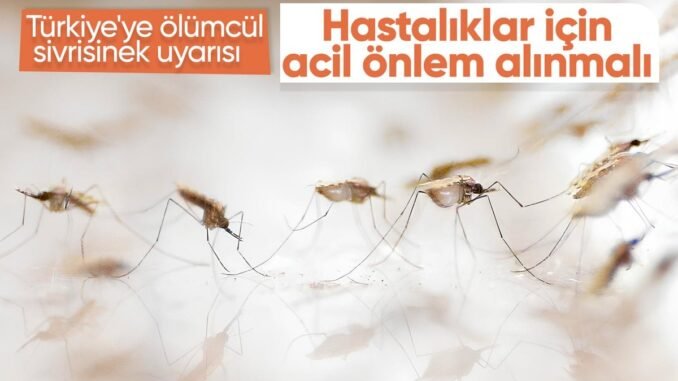 turkiyede-olumcul-virus-uyarisi-acil-tedbirler-alinmali-acwRx6iJ.jpg