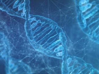 Egzersiz Sırasında Yağ Yakımını Artıran Yeni Protein Varyantları Tespit Edildi - KimyaHaberleri