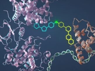 Kanser Tedavisinde Yeni Yöntem: BCL6 Proteinini Hedefleyen Moleküler Yapıştırıcı - KimyaHaberleri