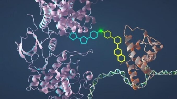 kanser-tedavisinde-yeni-yontem-bcl6-proteinini-hedefleyen-molekuler-yapistirici-h2U7BJNb.jpg