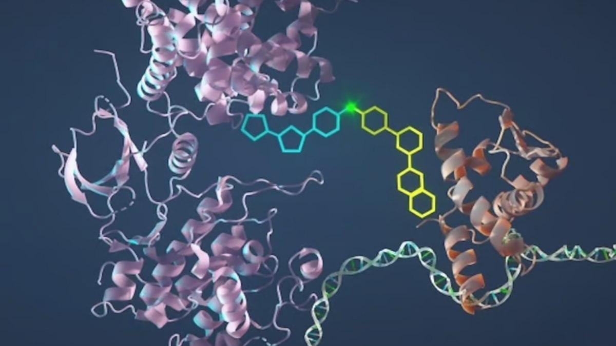 kanser-tedavisinde-yeni-yontem-bcl6-proteinini-hedefleyen-molekuler-yapistirici-h2U7BJNb.jpg